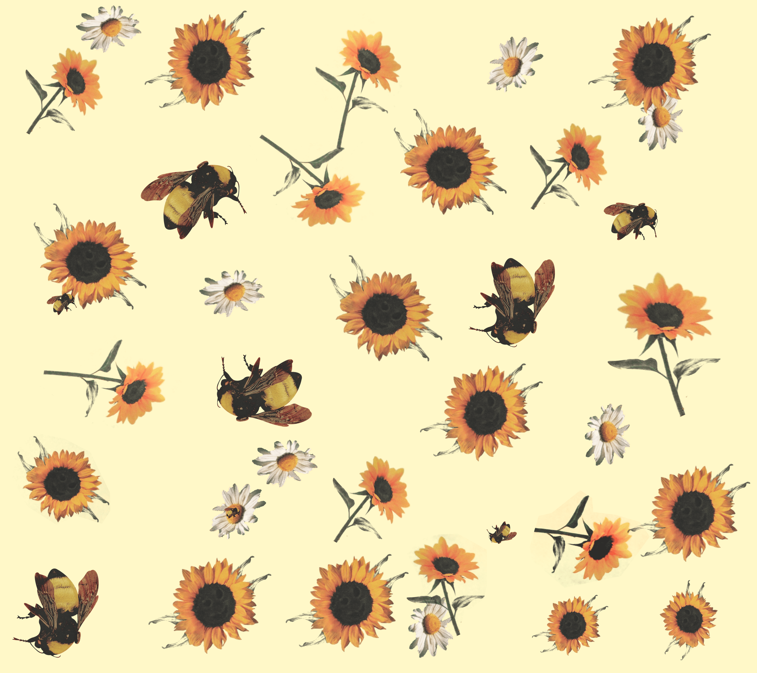 Aesthetic Bee Computer Wallpapers - Top Free Aesthetic Bee Computer