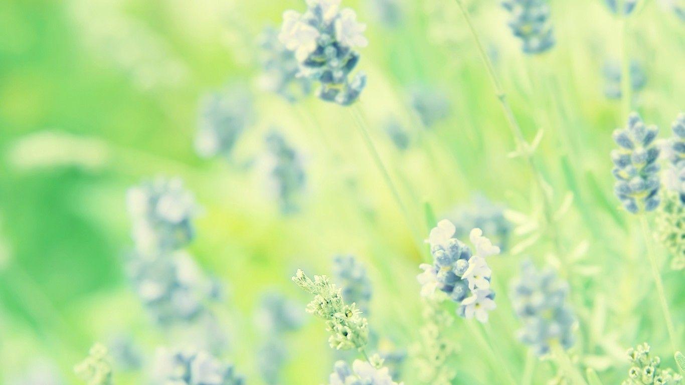 1366x768 Pastel Nature Wallpaper