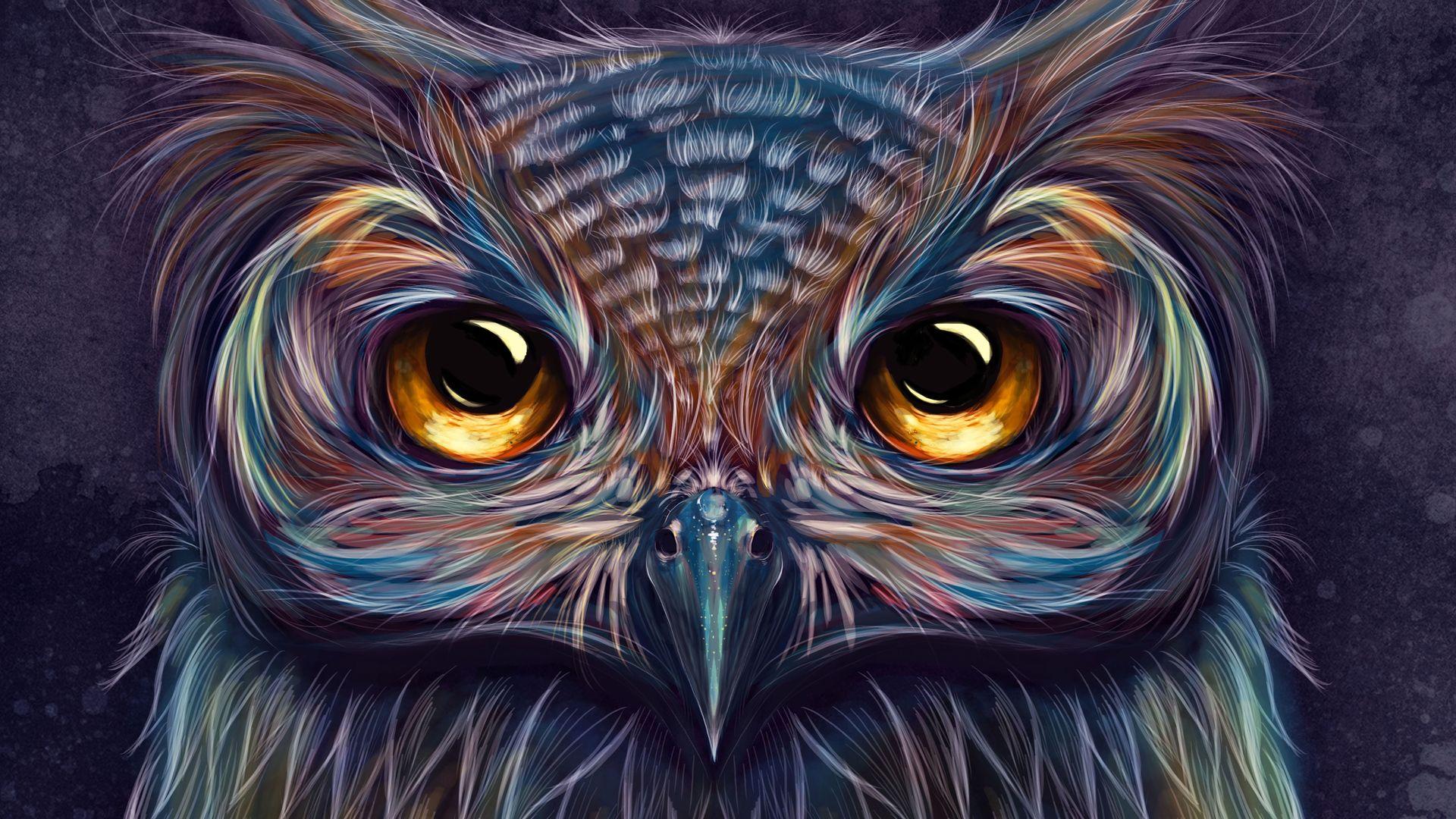 1920x1080 Owl Colorful Art 5k Laptop Full HD 1080P HD 4k