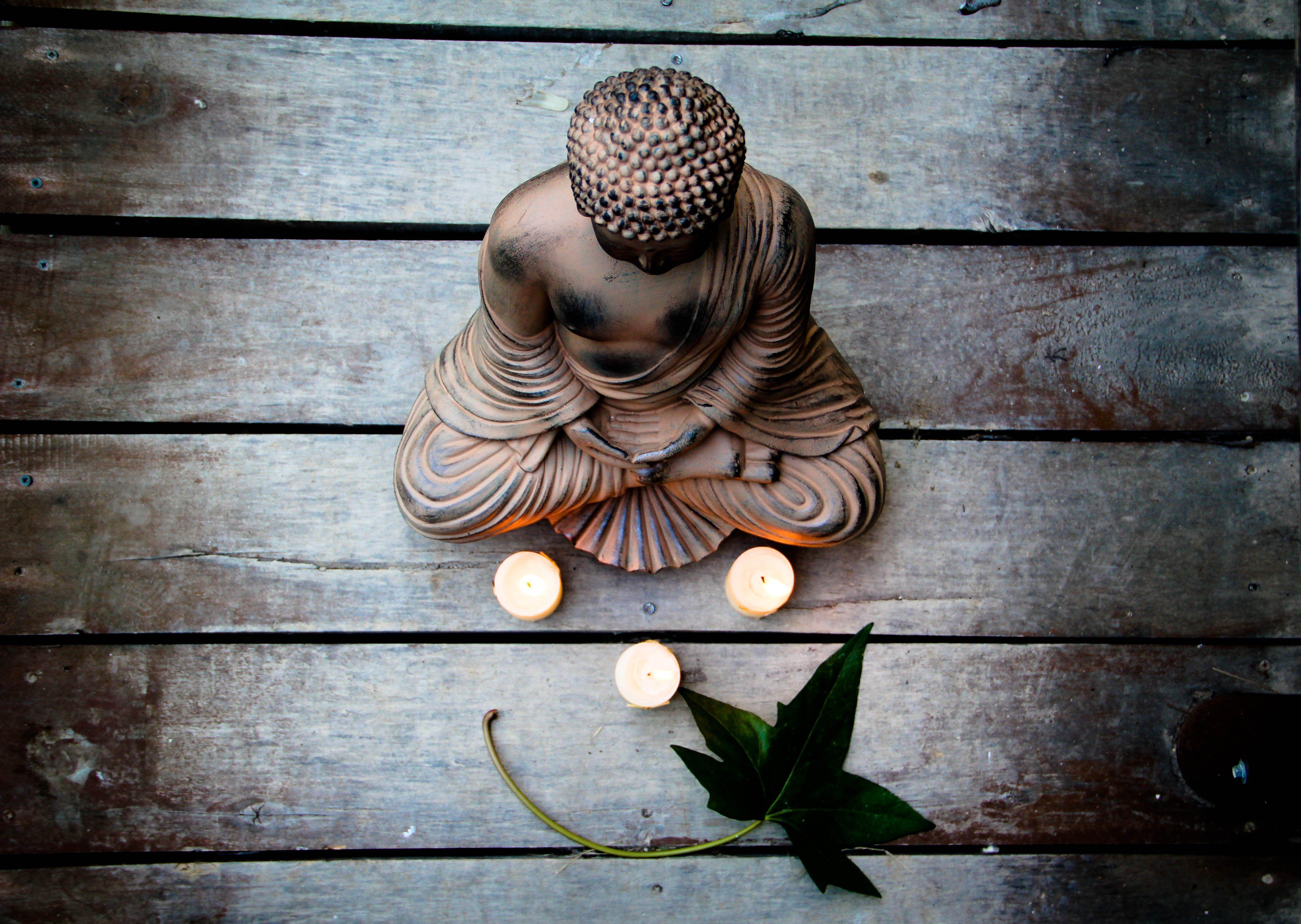 Все в кучу новое видео дзен. Будда Випассана. Гармония Будда. Дзен Будда арт. Медитация Гармония Будда.