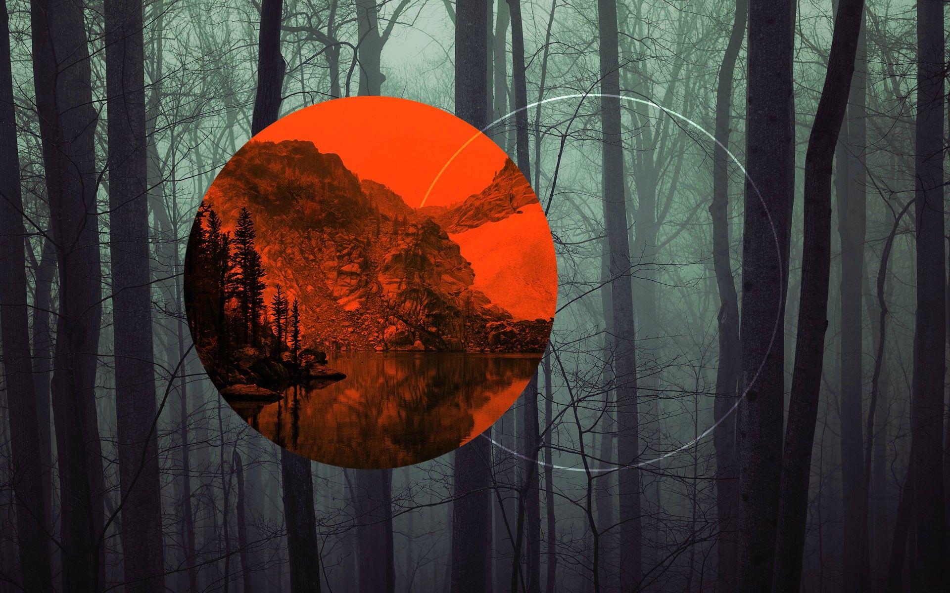 1920x1200 Polyscape Forest Full HD Wallpaper and Background Imagex1200