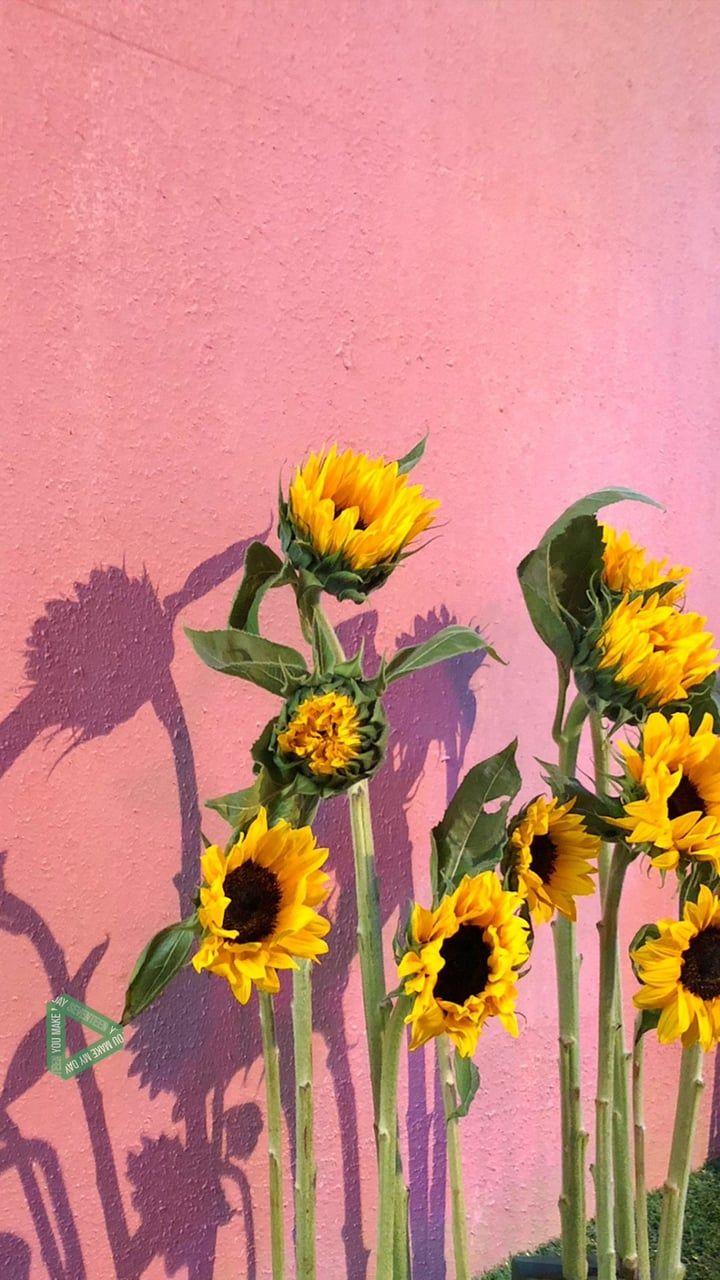 720x1280 Image in My world is PINK collection