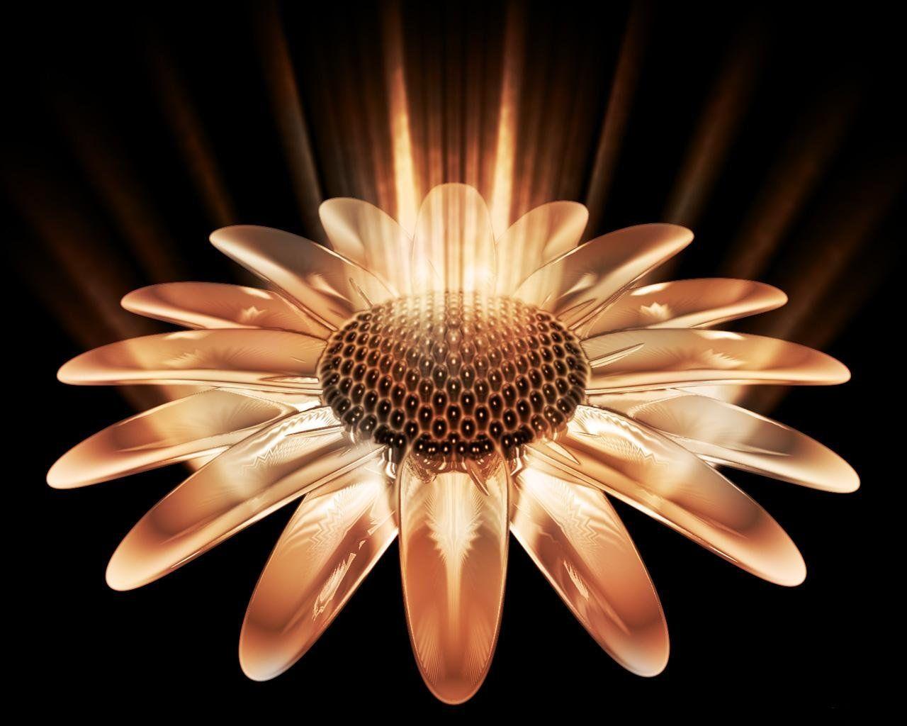 1280x1024 Sunflower Wallpaper Windows Desktop Wallpaper. Abstract Wallpaper. Windows 10 Wallpaper