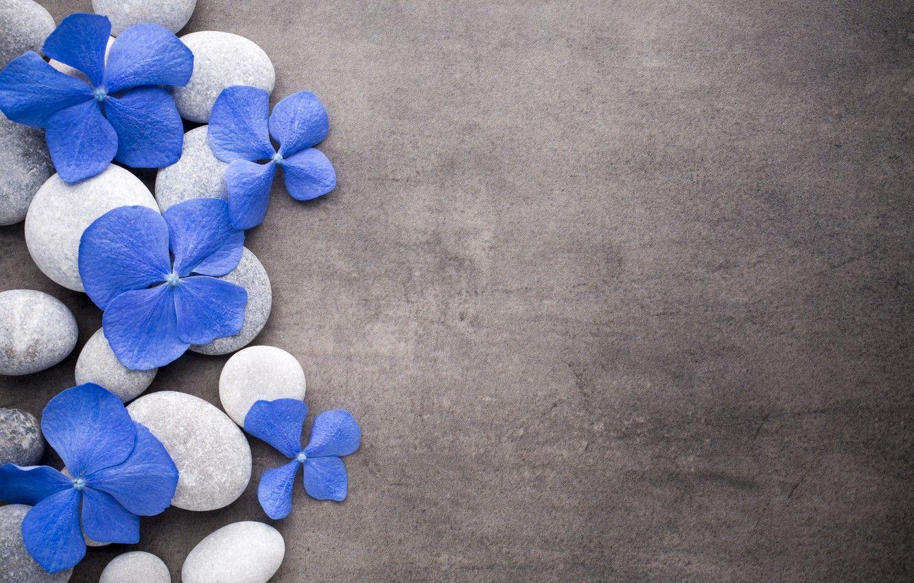 Zen Flowers Wallpapers - Top Free Zen Flowers Backgrounds - WallpaperAccess