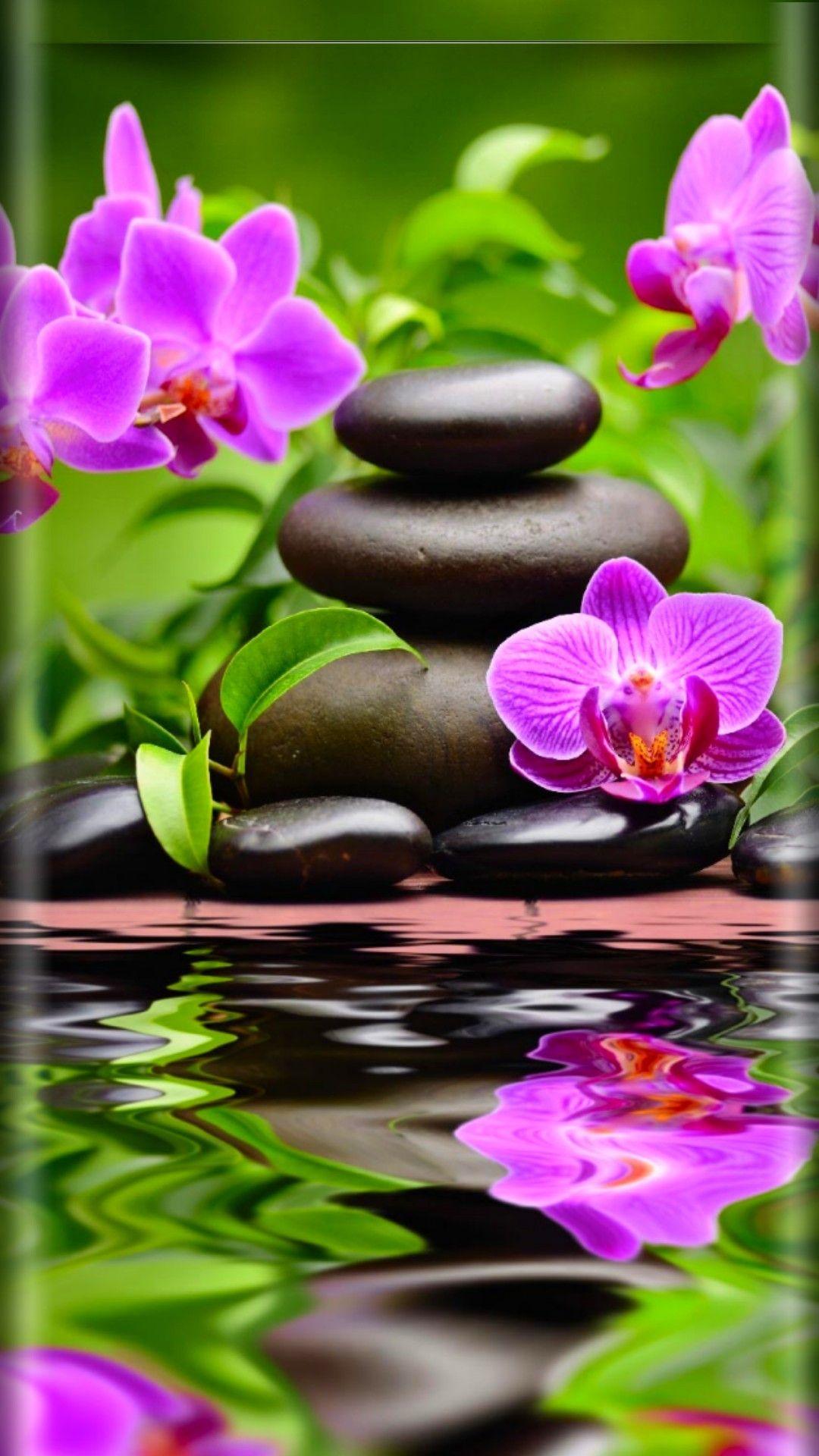 Zen Flowers Wallpapers Top Free Zen Flowers Backgrounds WallpaperAccess