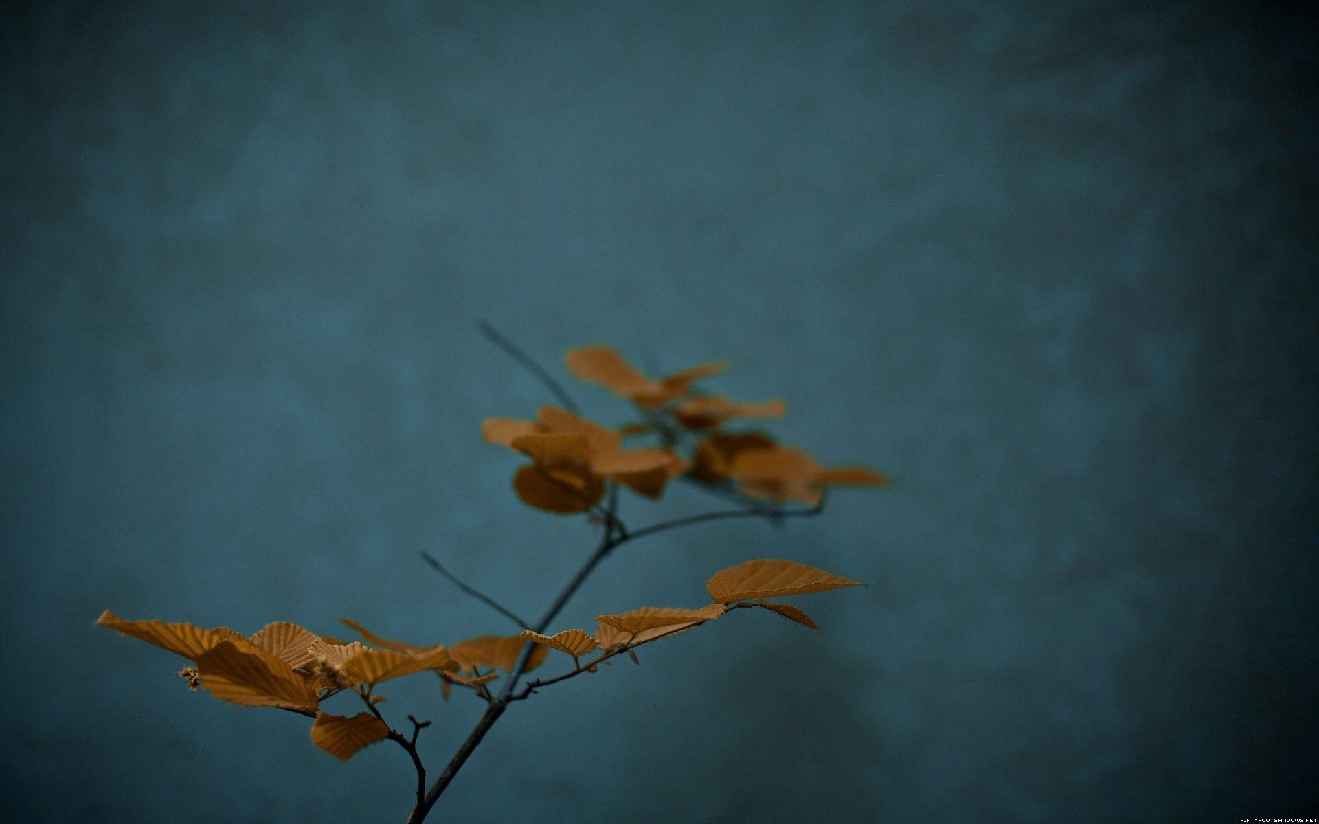 1920x1200 Zen backgroundDownload free stunning HD background