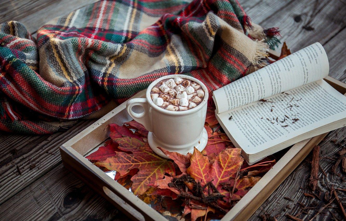 1332x850 Wallpaper wood, background, autumn, leaves, book, cocoa