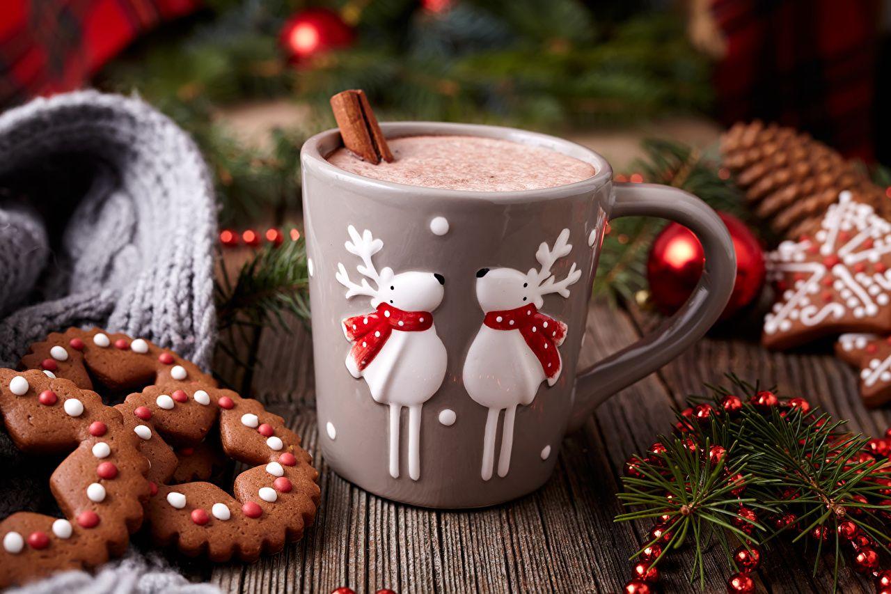 1280x853 Photo Deer New year cocoa Mug Food Cookies drink