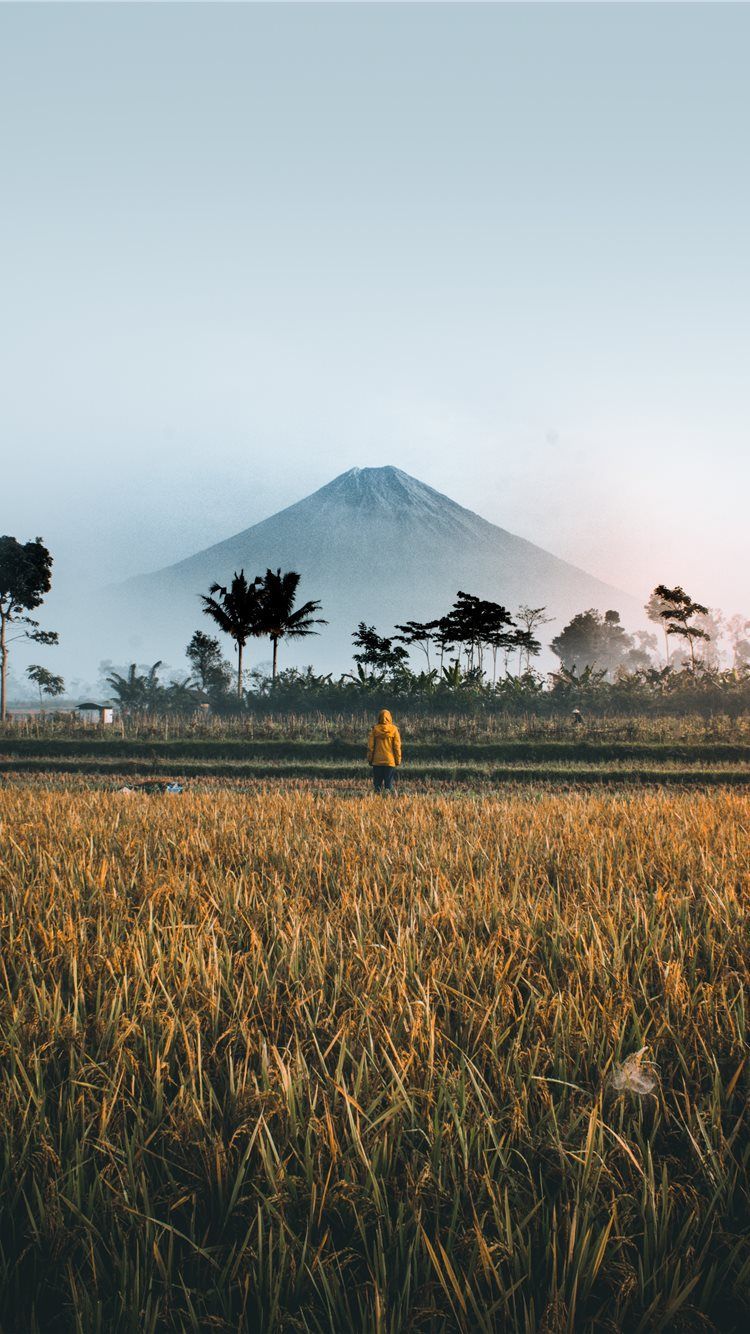 750x1334 Best Indonesia iPhone 8 HD Wallpaper