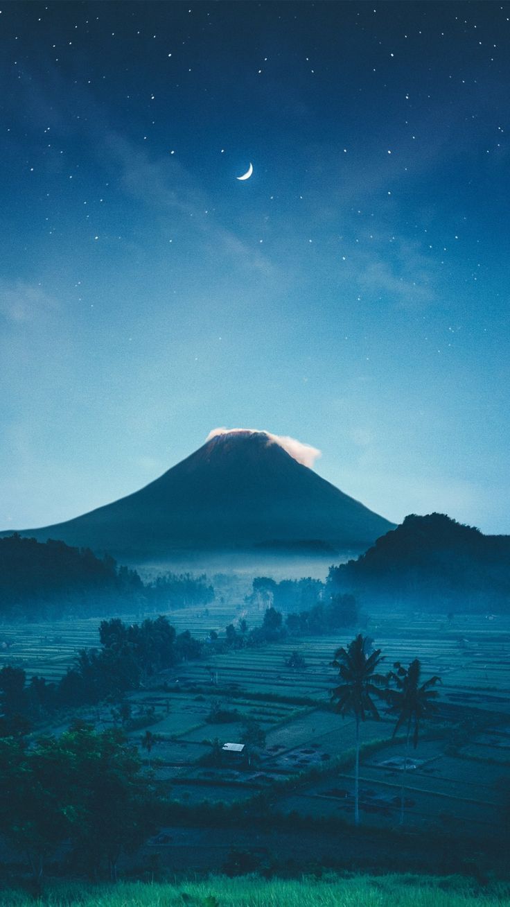 736x1308 Free HD wallpaper for desktop, ipad