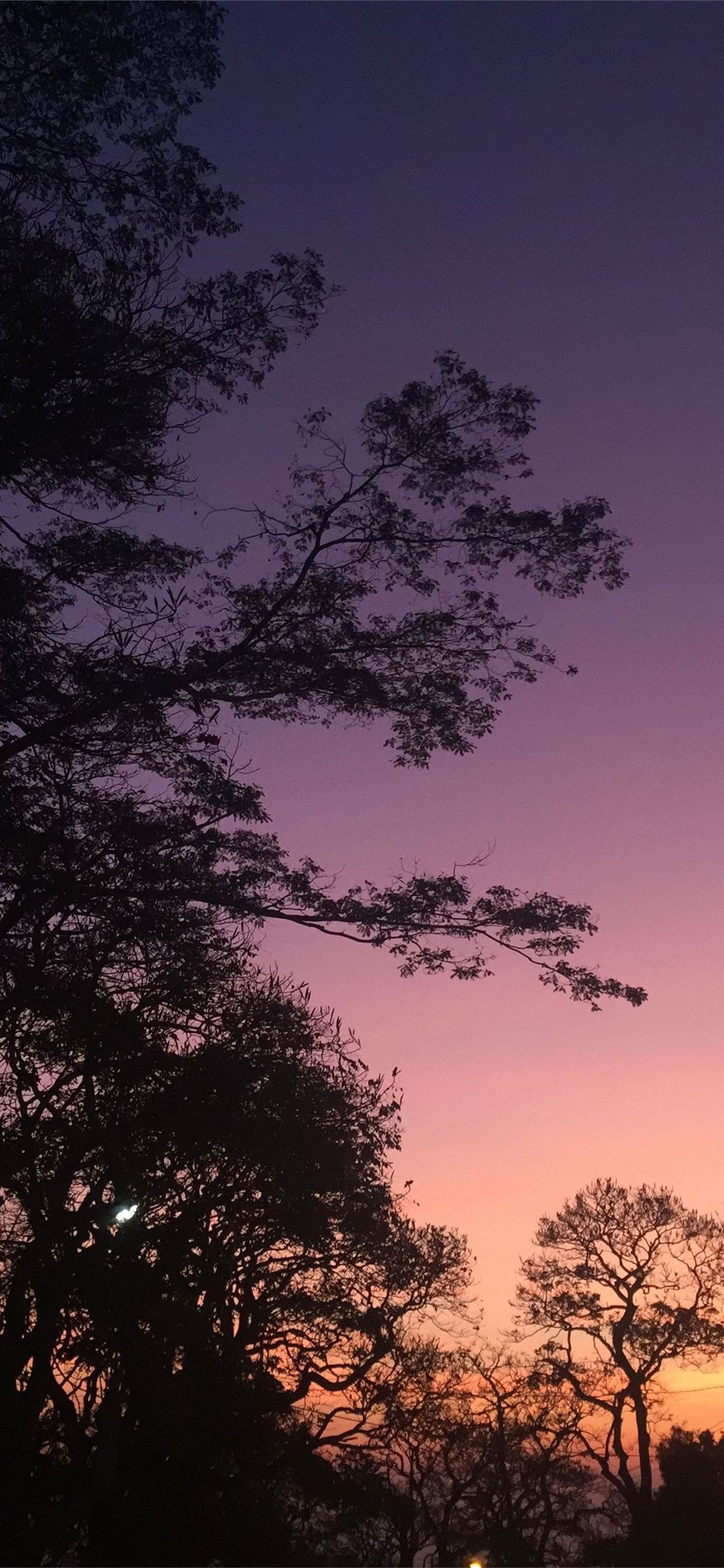 1242x2688 indonesia iPhone Wallpaper Free Download
