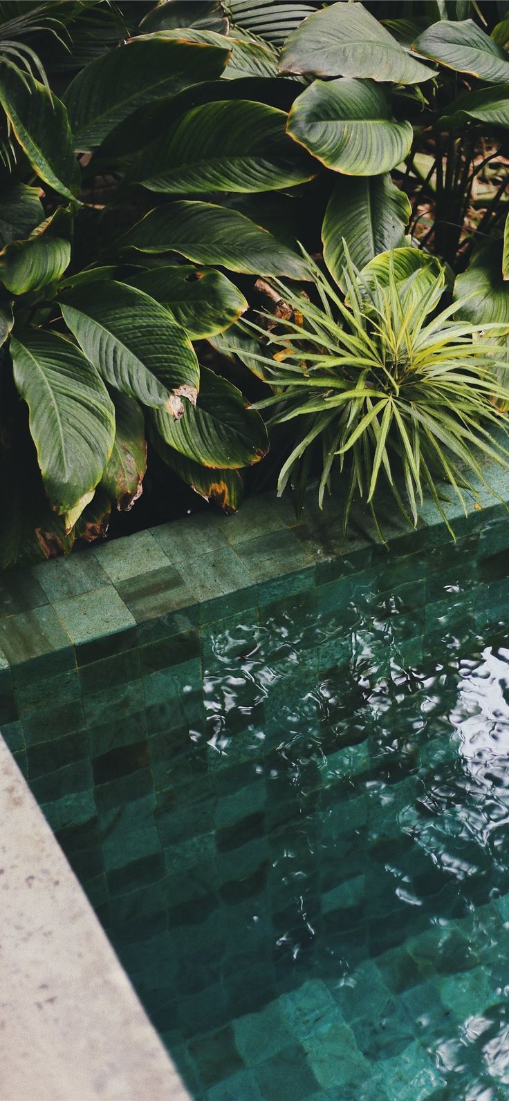 736x1593 The Slow Bali Indonesia. Lightroom
