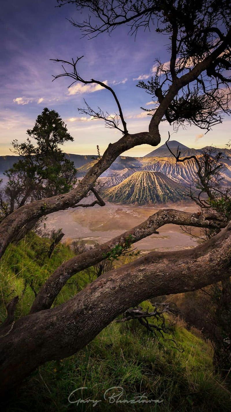 800x1422 Bromo, landscape, indonesia, HD phone