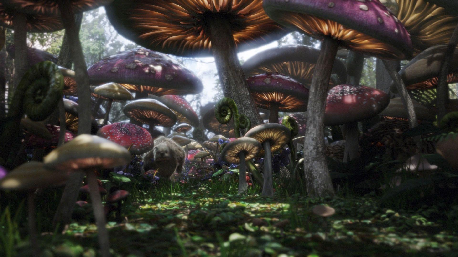 1920x1080 Alice in Wonderland Movie Wallpaper for PC