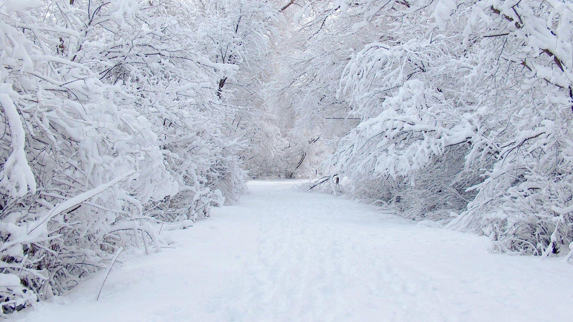 1920x1080 Winter: Nature Scenery White Beauty Wonderland Snow Winter Wallpaper