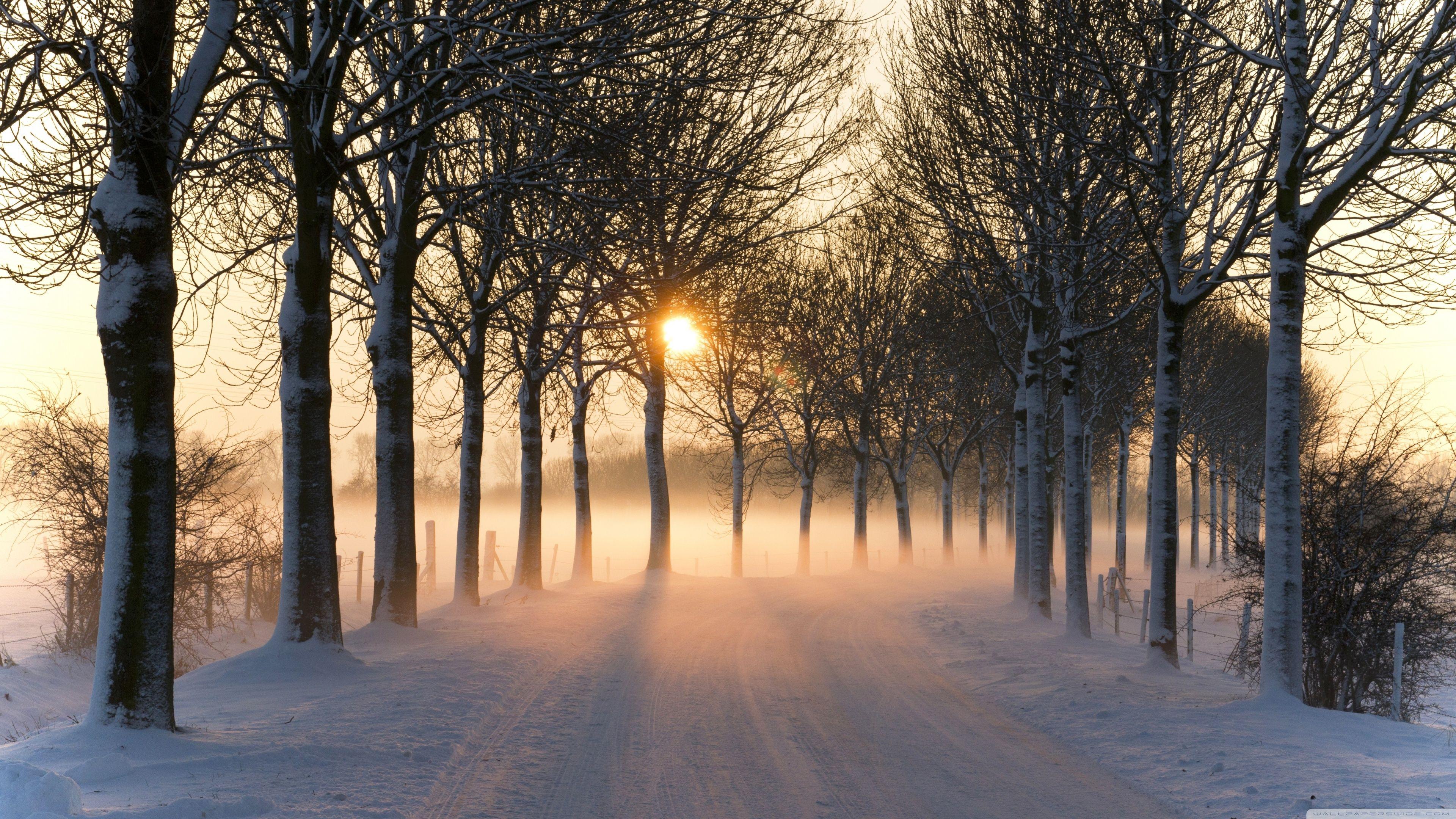 3840x2160 Misty Winter Afternoon ❤ 4K HD Desktop Wallpaper for 4K