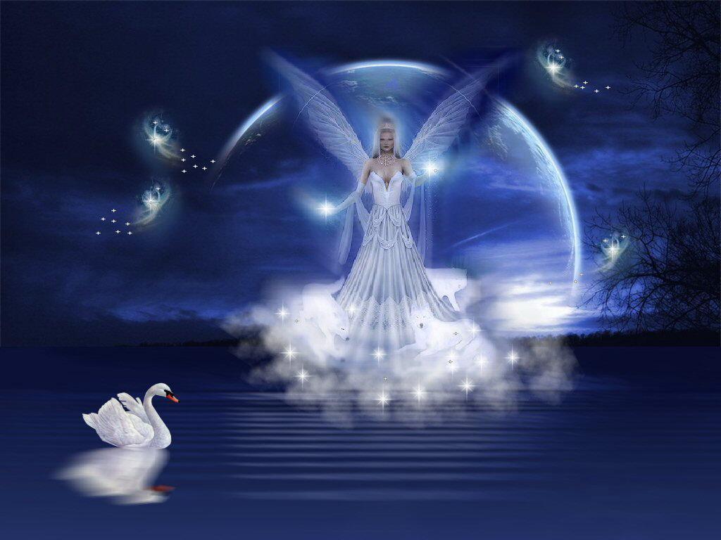 1024x768 An Angel's Love