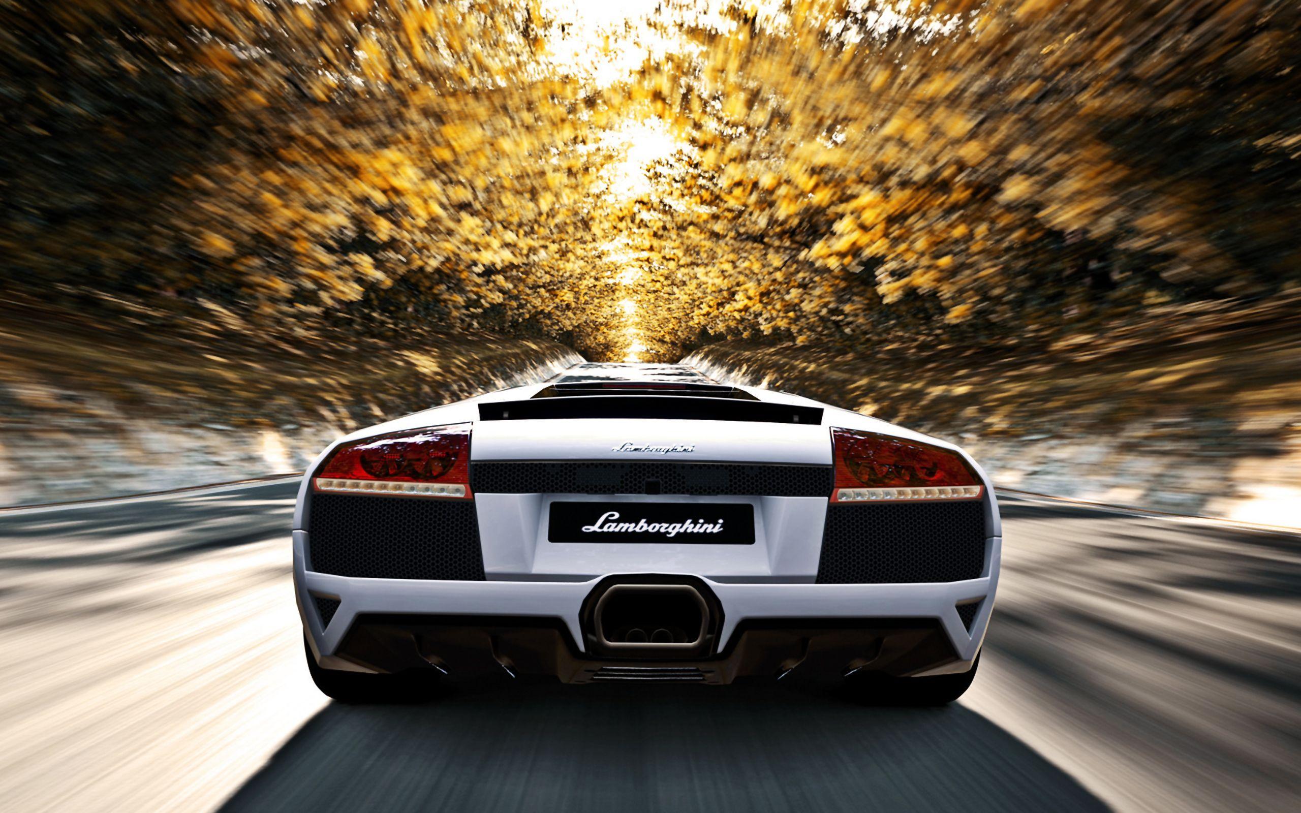 Lamborghini Murcielago Wallpapers - Top Free Lamborghini Murcielago