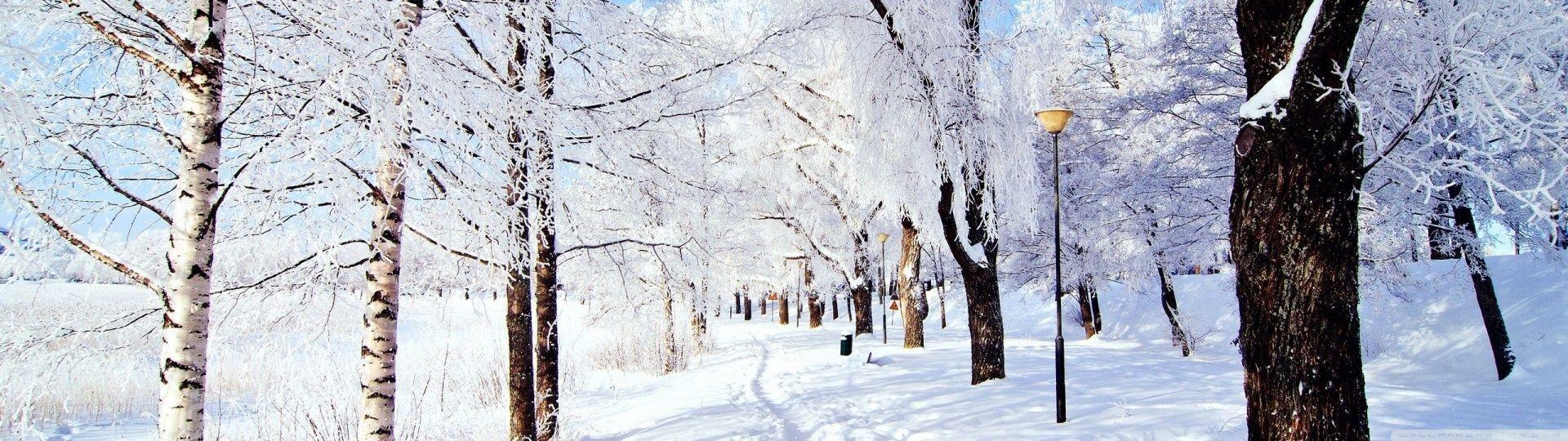 1920x540 Winter Wonderland ❤ 4K HD Desktop Wallpaper for 4K Ultra HD TV