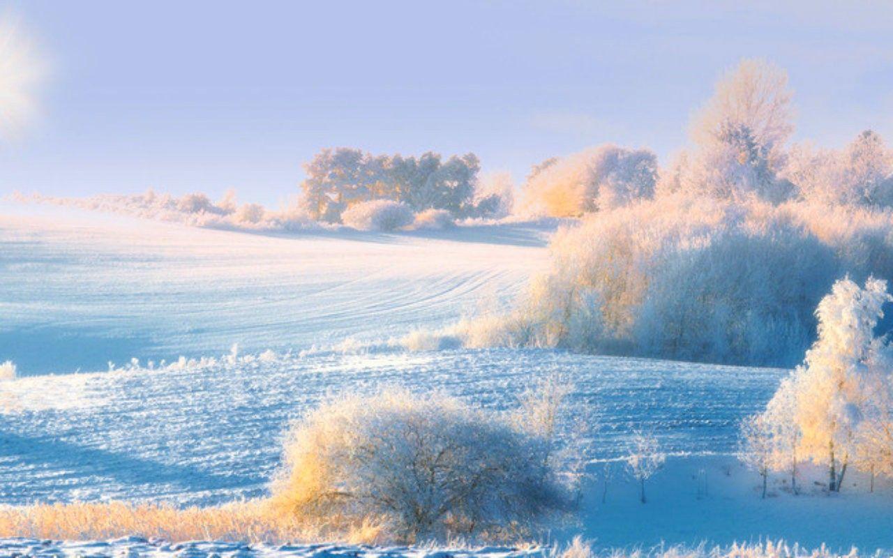 1280x800 Winter: Snow White Sky Nature Wallpaper Winter 4k for HD 16:9 High