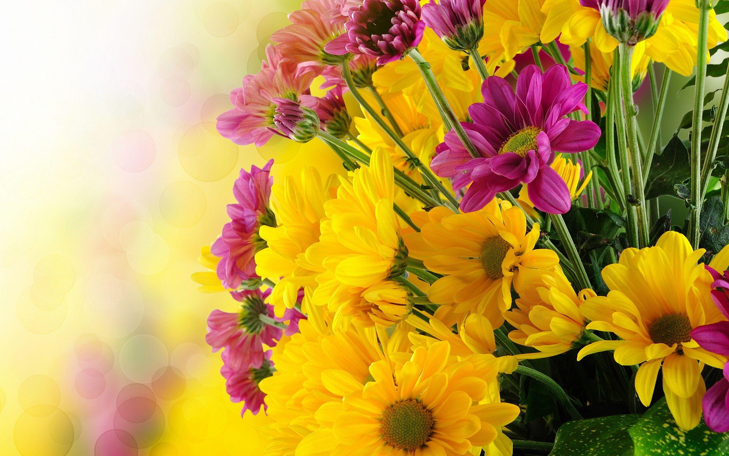 2560x1600 Bunch pink yellow flowers