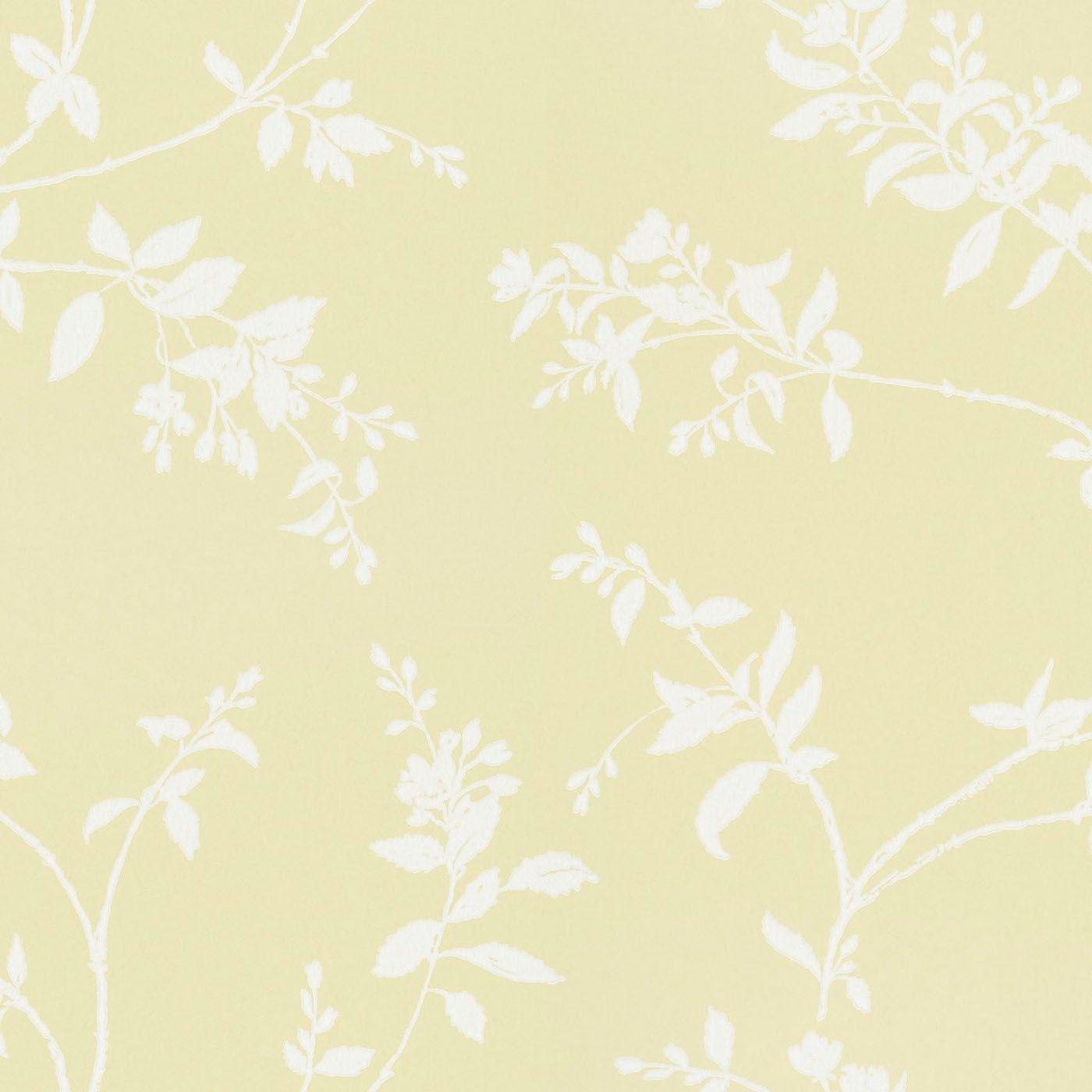 2000x2000 Schersmin Yellow