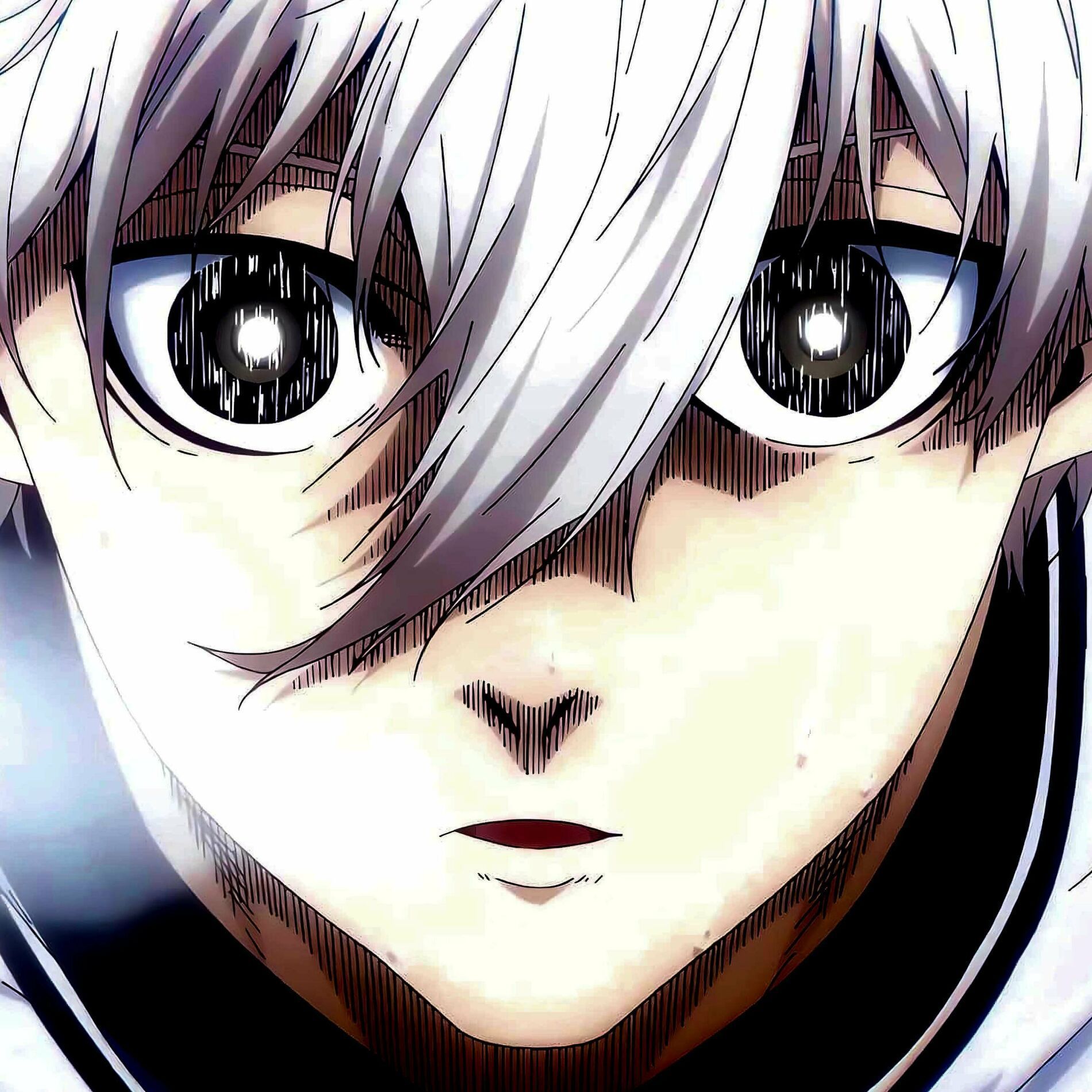 1900x1900 Axel Avix Seishiro Theme Cover