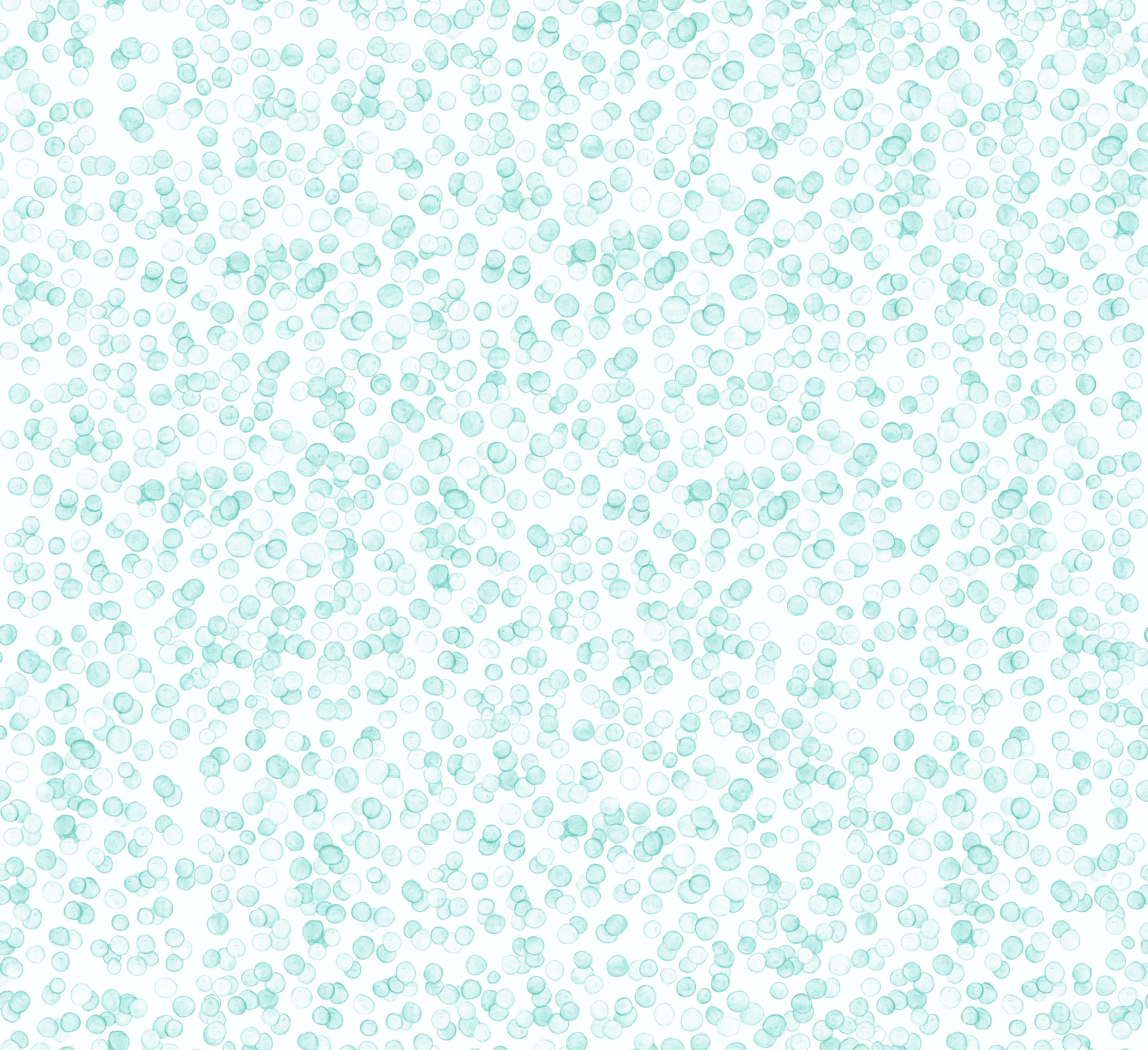 3000x2743 Toreador (blue)