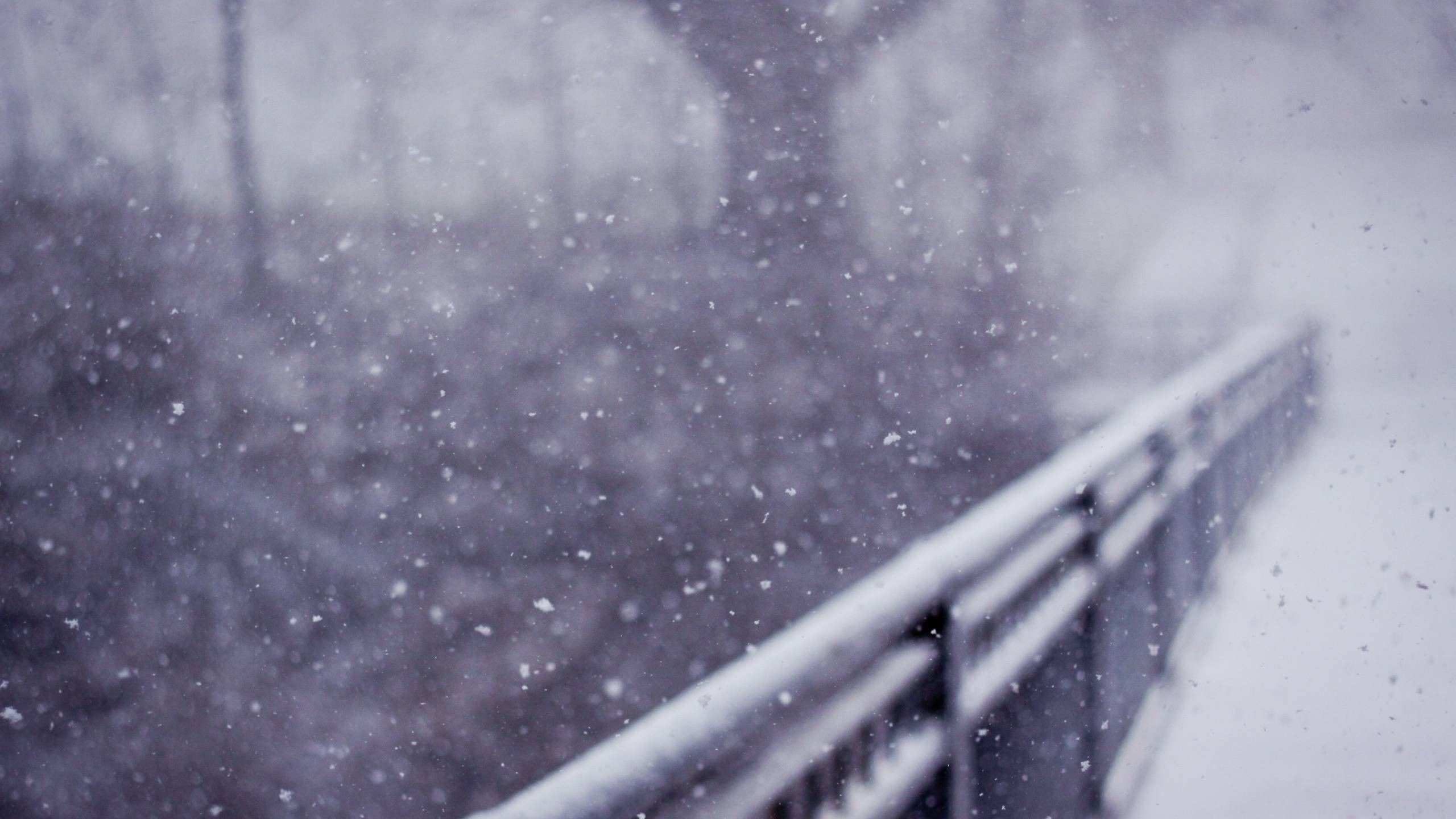 2560x1440 Download Photography Winter HD Wallpaper