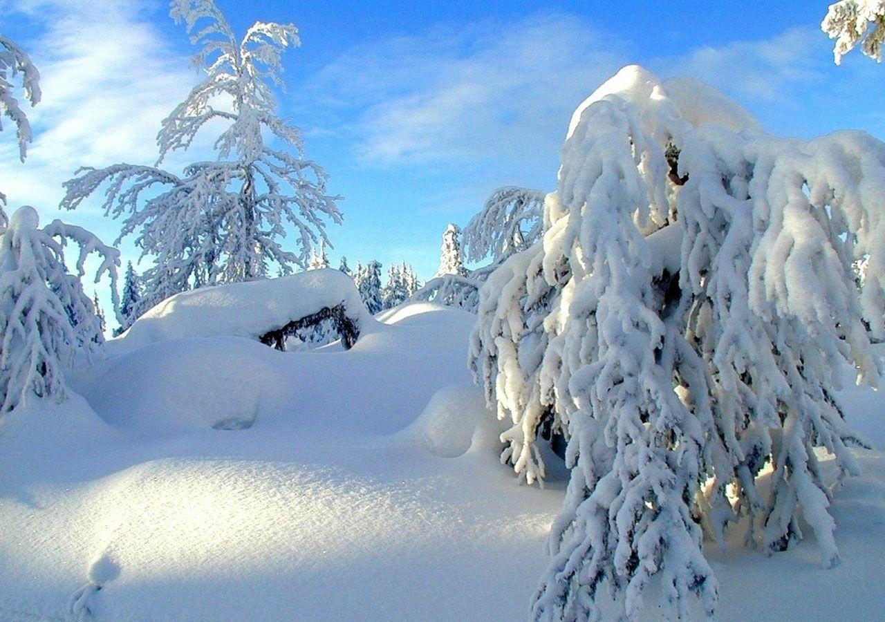 1280x900 Winter: Beautiful Nature Winter Wallpaper 4k for HD 16:9 High