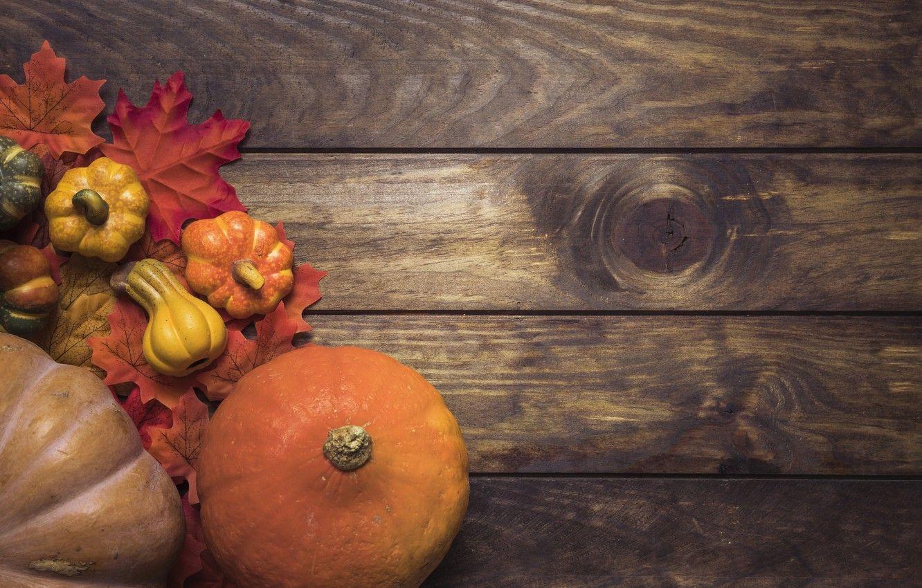 1332x850 Wallpaper autumn, leaves, background, tree, Board, colorful