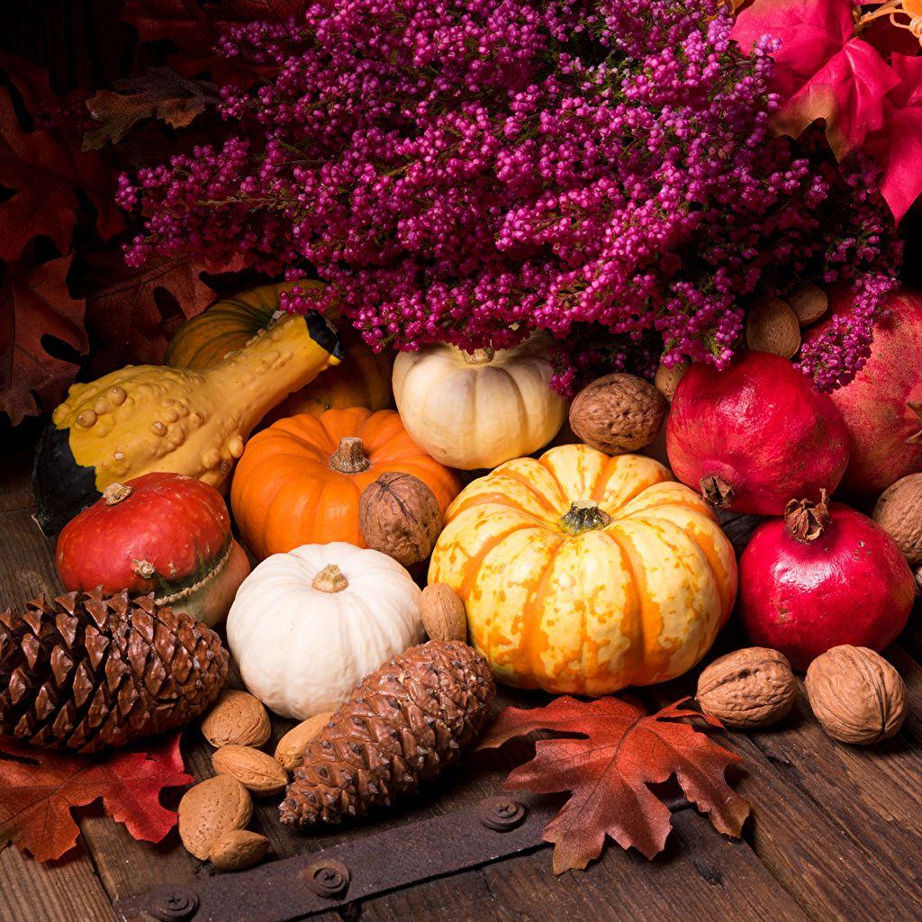 1024x1024 Wallpaper Foliage Autumn Pumpkin Pomegranate Food Conifer