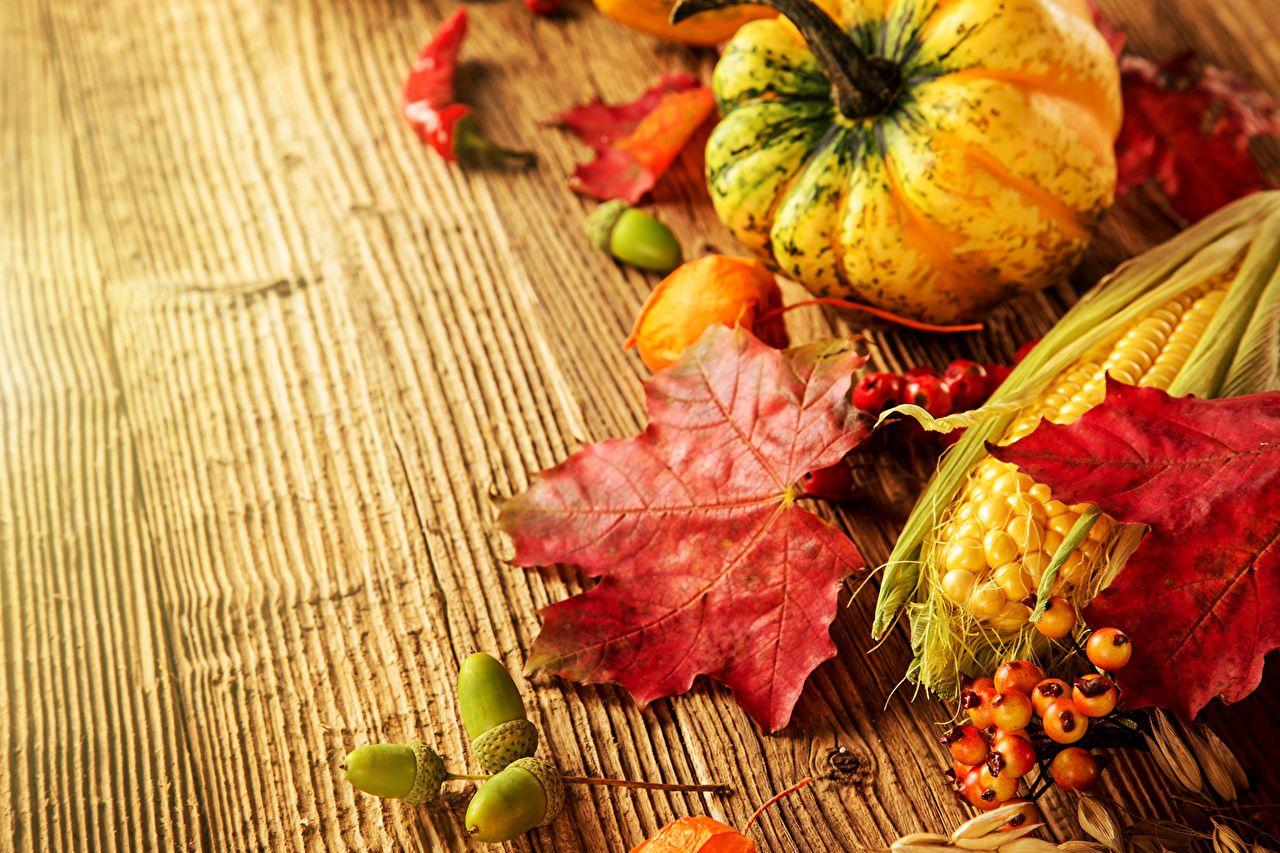 1280x853 Wallpaper Leaf Corn Autumn Pumpkin Food
