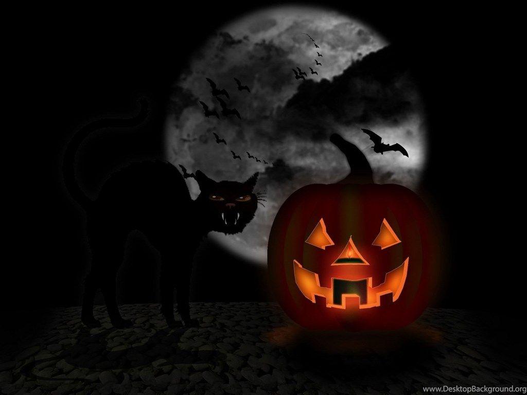 1024x768 Black Cat And Jack o lantern Desktop Wallpaper Desktop