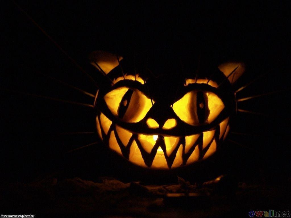 1024x768 Image detail for -Jack o'lantern wallpaper