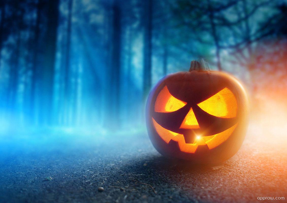1131x800 Jack O'Lantern Wallpaper download HD Wallpaper