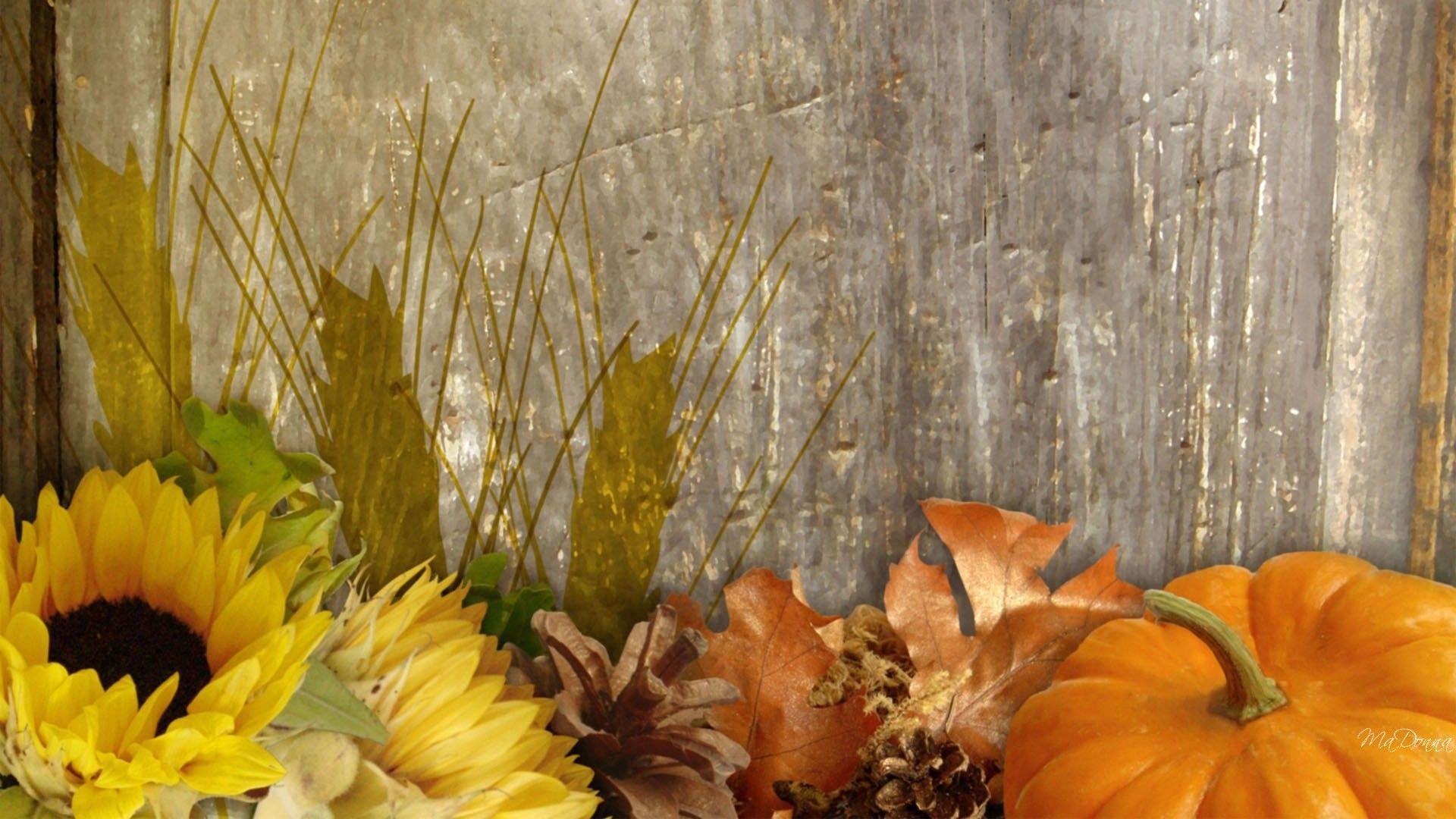 1920x1080 Fall Harvest Wallpaper
