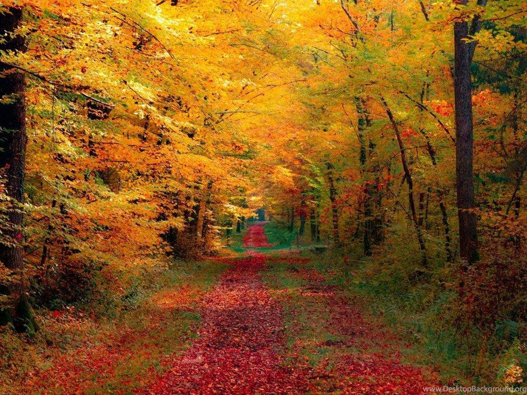 1024x768 RePin Image: Fall Harvest Wallpaper Desktop