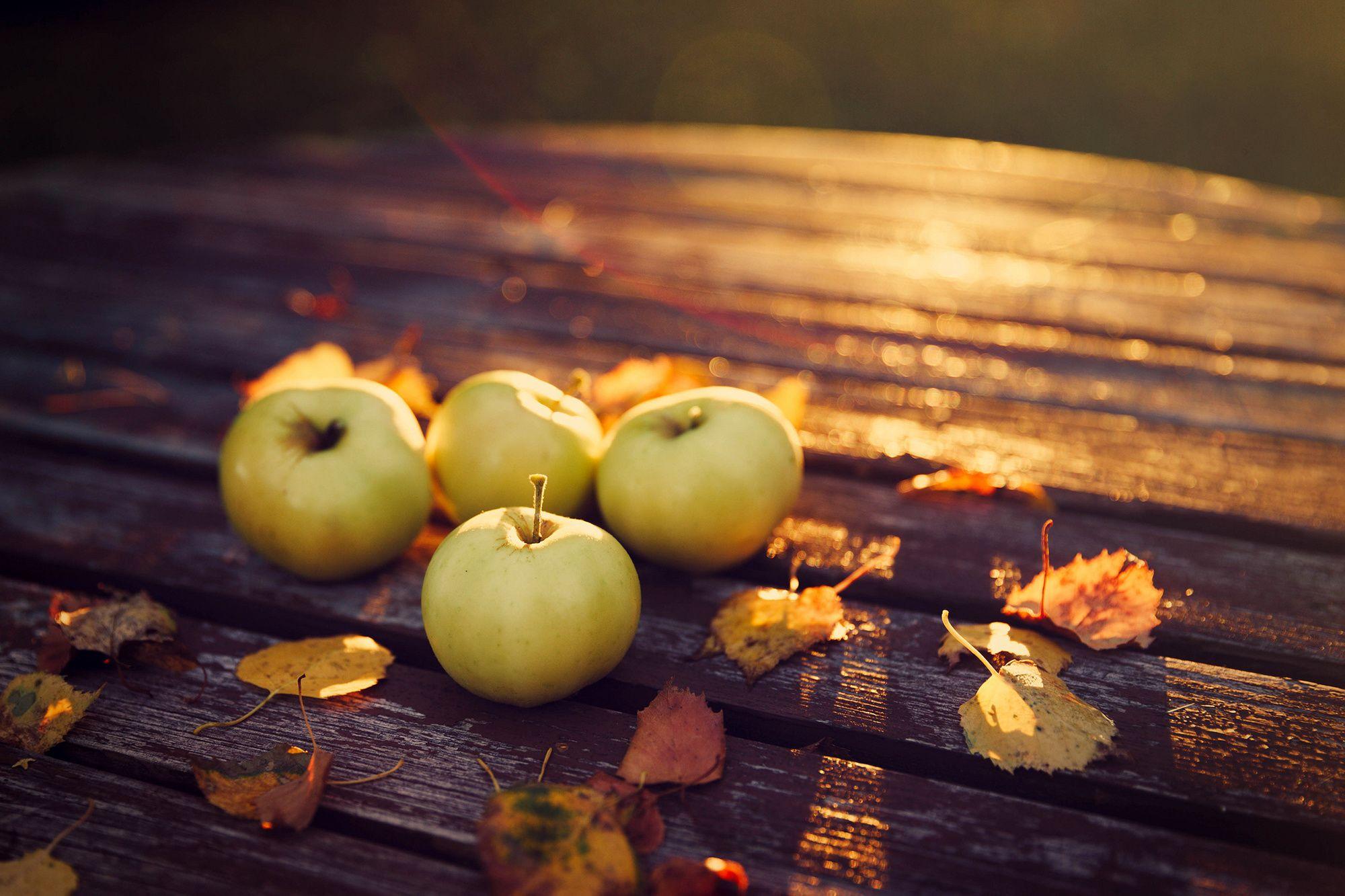 2000x1333 Fall Harvest Wallpaper For Android Free Download > SubWallpaper
