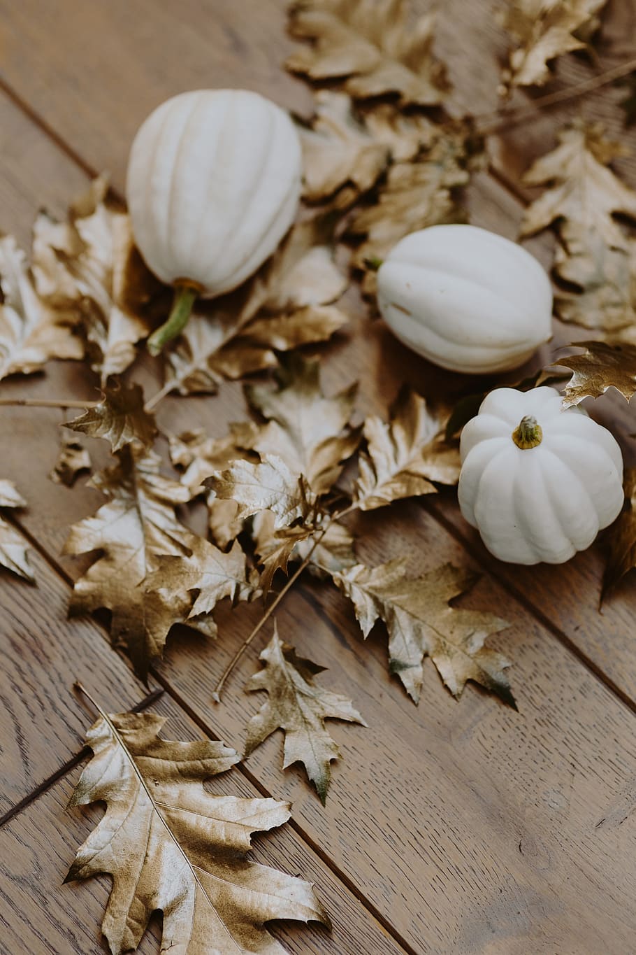 Free Download White Pumpkin Desktop Wallpaper