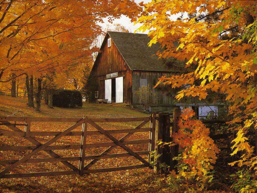1024x768 Autumn Lights Picture: Autumn Harvest Wallpaper