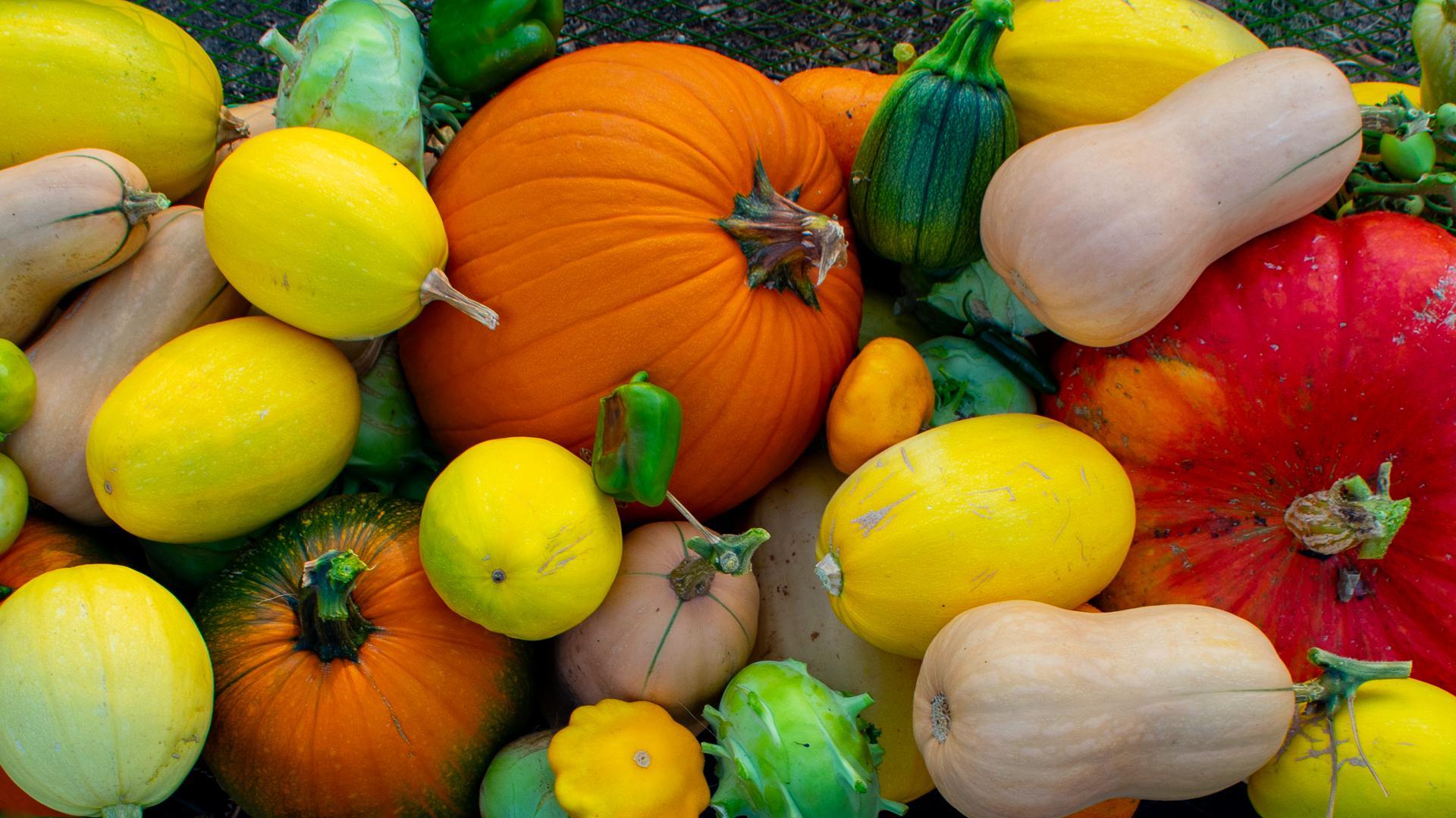 1920x1080 1920×1080 Fall Harvest