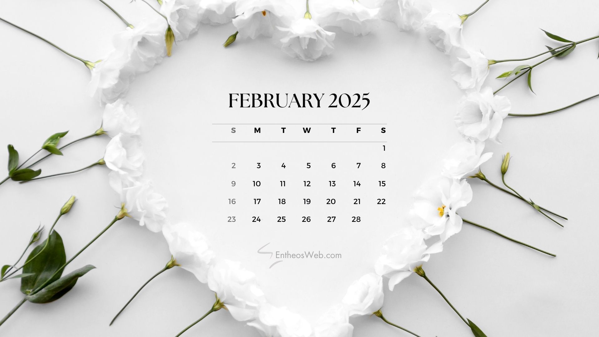 1920x1080 February 2025 Desktop Wallpaper