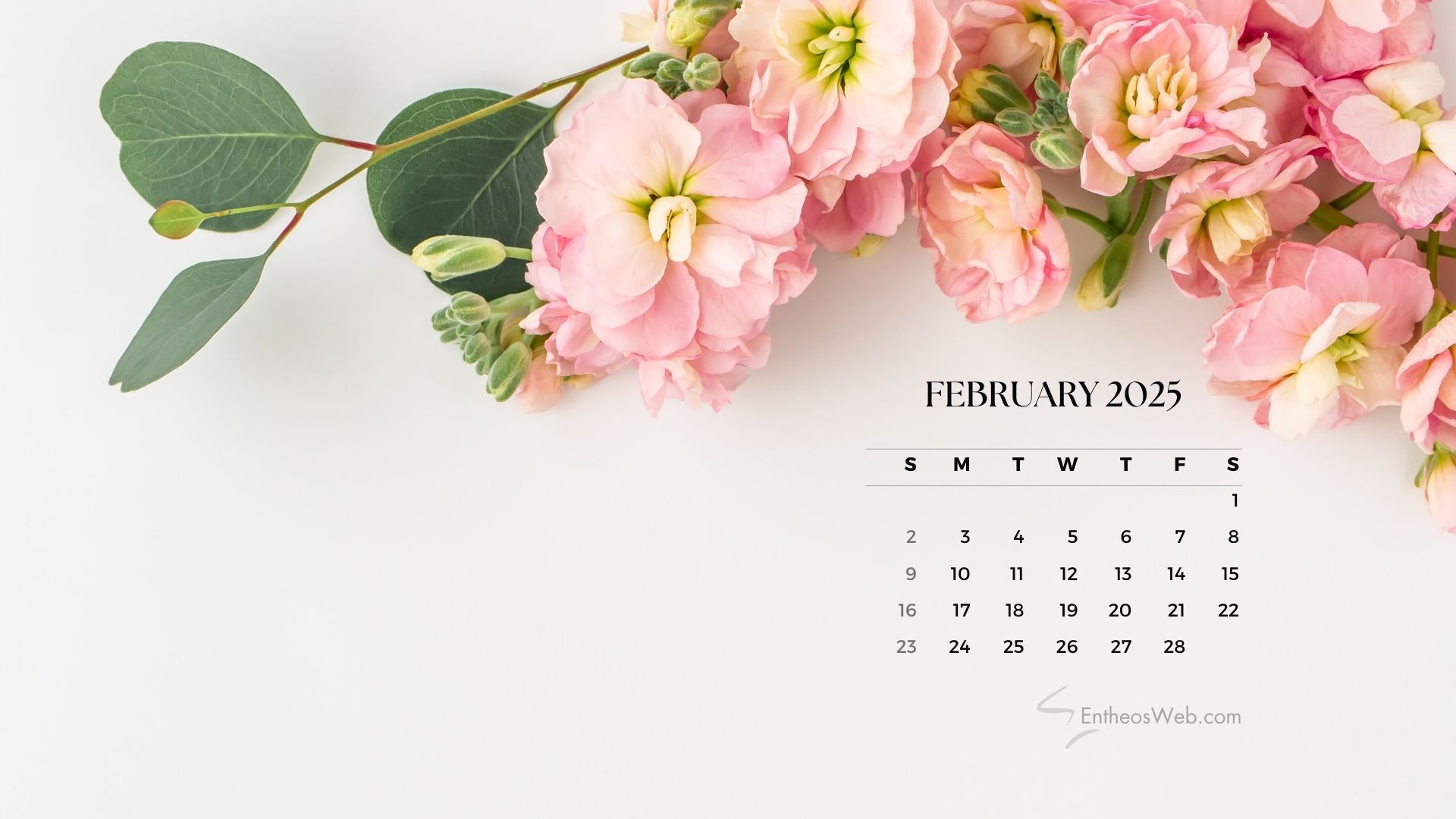 1920x1080 February 2025 Desktop Wallpaper