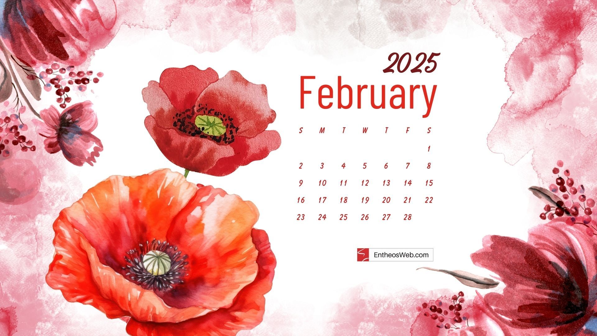 1920x1080 February 2025 Desktop Wallpaper