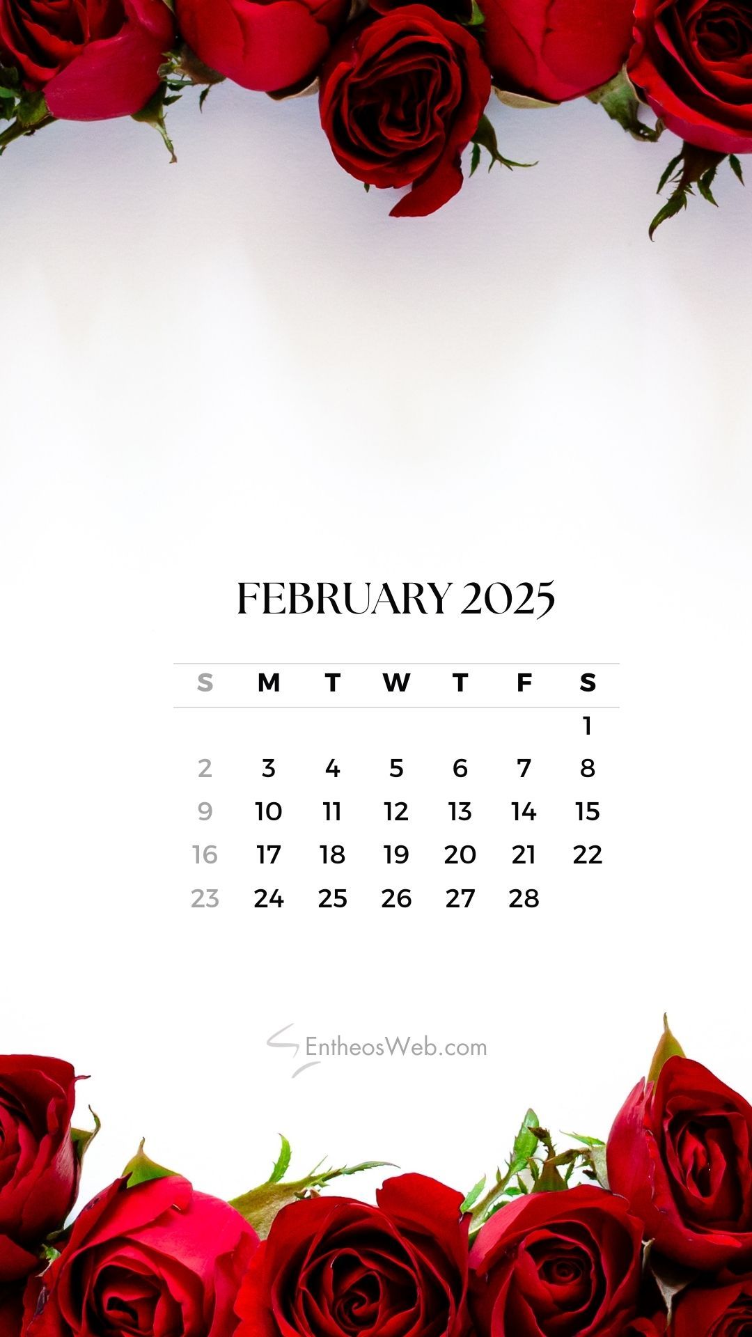1080x1920 February 2025 Phone Wallpaper