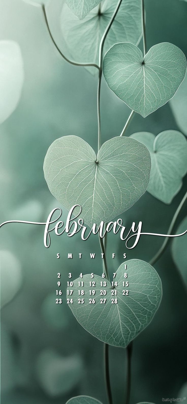 736x1592 February 2025 Heart Leaf Calendar Wallpaper