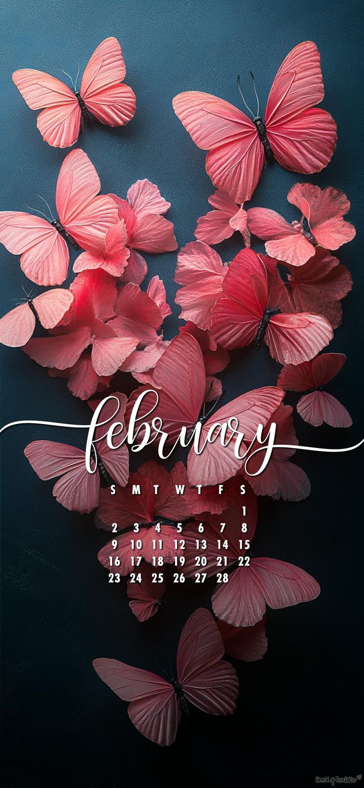 february-2025-calendar-wallpapers-top-free-february-2025-calendar