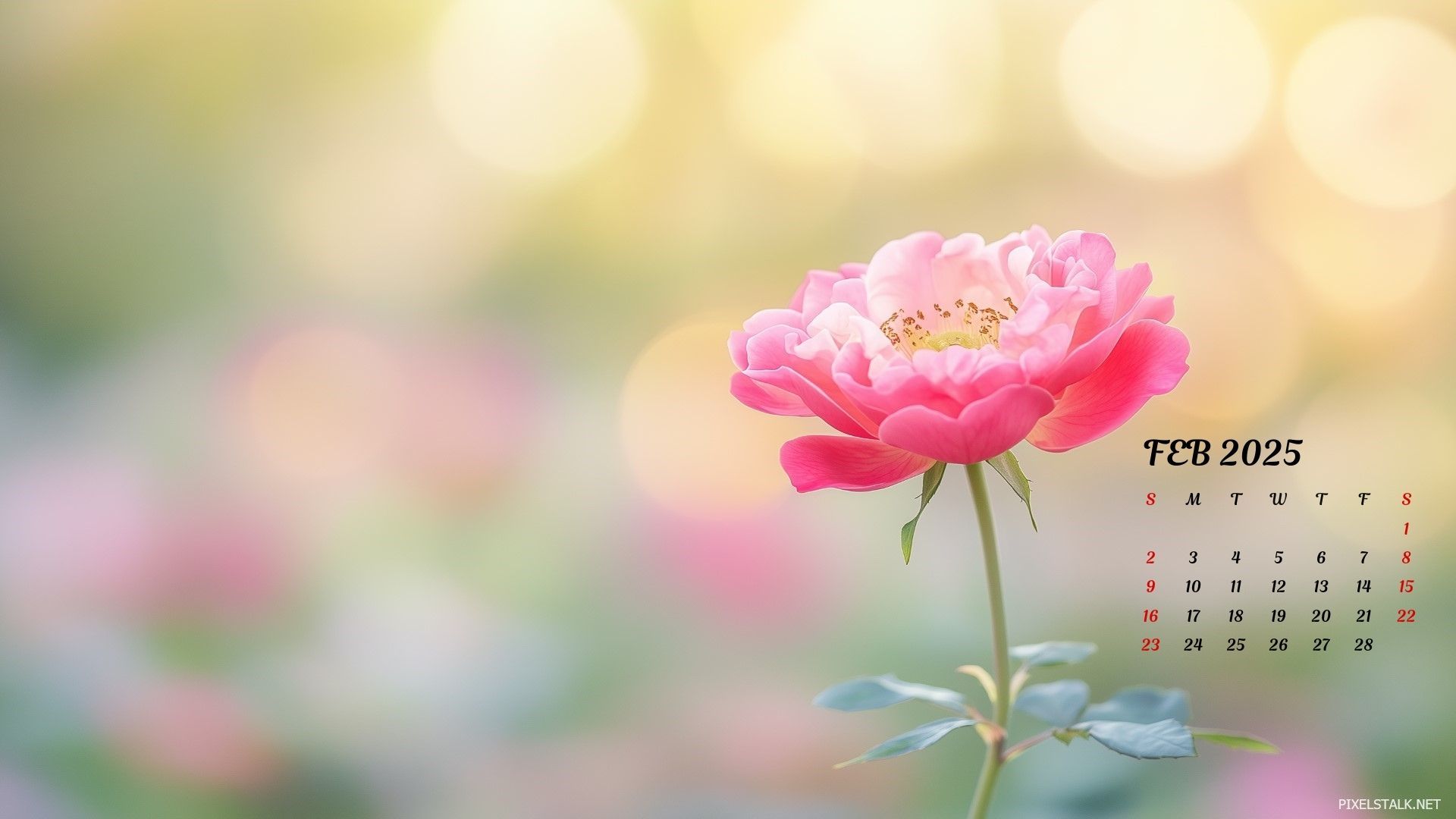 1920x1080 February 2025 Calendar Wallpaper HD