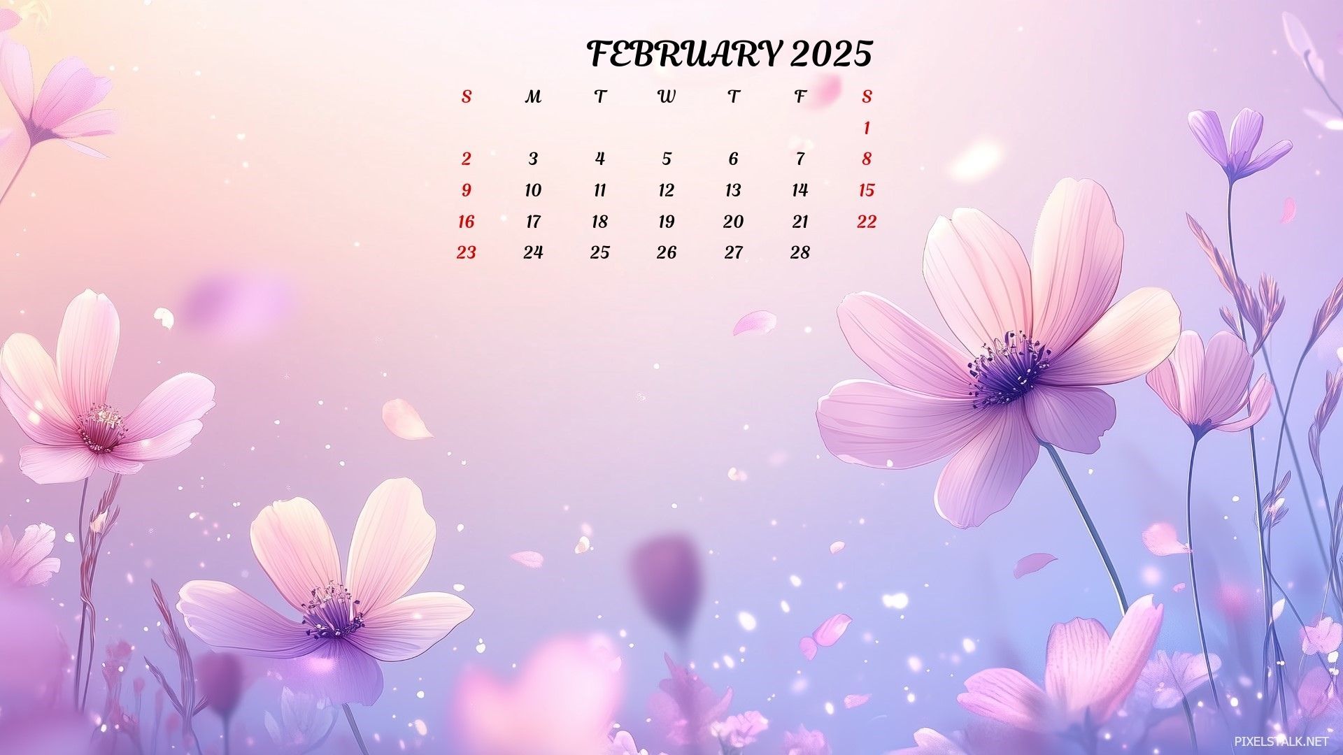 1920x1080 February 2025 Calendar Wallpaper HD